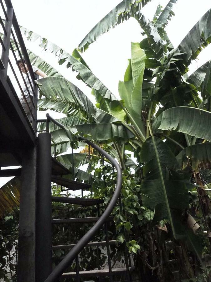 Bann Rai Klai Weang Homestay Mae Taeng Exteriör bild