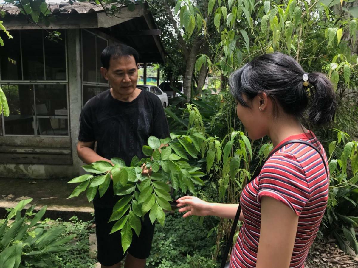 Bann Rai Klai Weang Homestay Mae Taeng Exteriör bild